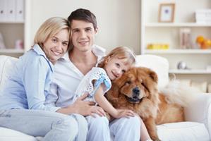 La place du chien dans la maison : niche, panier, où faire dormir son chien ?